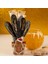 Tea Ready Ballı Zencefilli Çay (Teneke Kutu - 30 Adet Kaşık) 5