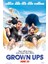 Grown Ups (2010) 0001 (Folyo / Afiş / Poster) 3212 ( 70 cm x 100 cm ) 1