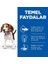 Hills Puppy Kuzu Etli Yavru Köpek Maması 12+2 Kg Hediyeli 3