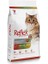 Adult Renkli Taneli Tavuklu Yetişkin Kedi Maması 2 kg 1