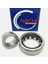 Nachı NJ210EG C3 Rulman 1