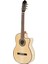 Flamenko Klasik Gitar 1