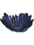 Coralline Kase 31 cm 04FIA002826 1
