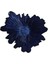 Coralline Kase 31 cm 04FIA002826 3
