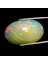 17.67 Ct 25.7x16.7 mm Oval Cabochon Natural Play-Of-Color Crystal Opal Gemstone 1