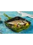 Yeşil 28X28 cm Yardımcı Kulplu Kare Grill Tava (HSKGTV-2828-Y) 4