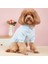 Kedi Köpek İçin Sevgililer Günü Açık Mavi Kapüşonlu Sweatshirt 3