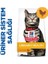 Urinary Health Tavuklu Yetişkin Kedi Maması 1,5 kg 1