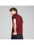 Scuderia Ferrari Race 2 Tone Erkek Bordo Polo Tişört (630186-02) 2
