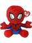 Mega Spıderman - Floppy Reg 1