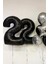 Siyah 22 Rakam Folyo Balon 2