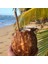 Bamboo Straws - Set Of 12 - 8mm - Bambu Pipet 4