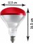 (6 Adet) Osram Ledvance 150W (Kırmızı Işık) Infrared Isıtıcılı Lamba E27 Duylu (Kalın Duy) 3
