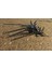 Dune Temalı 3D Baskı Helikopter Modeli – Ornithopter ile Arrakis'e Yolculuk! 3