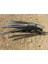 Dune Temalı 3D Baskı Helikopter Modeli – Ornithopter ile Arrakis'e Yolculuk! 4