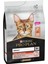Somonlu ve Pirinçli Yetişkin Kedi Maması 3 Kg 1