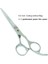 A0035C-03-60 Stili 6.0" Kuaförler Smıth Chu Saç Kesme Veya Tg Makası Japarofessional Berberler Tesoura Kitleri A0035C (Yurt Dışından) 1