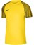 Nıke M Nk Df Academy Jsy Ss Erkek Futbol Forması DH8031-719 Sarı 1
