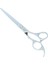 A0180B-01-70 Stili 7.0" Büyük Saç Ya Da Japarofessional Kuaförlük Kesme Ya Da Salon Kuaför Tg Tijeras Saç Kesme Makineleri A0128G (Yurt Dışından) 2