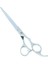 A0180B-01-70 Stili 7.0" Büyük Saç Ya Da Japarofessional Kuaförlük Kesme Ya Da Salon Kuaför Tg Tijeras Saç Kesme Makineleri A0128G (Yurt Dışından) 4