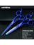 6.0 Blacksilver Kit Stili Univinlions Japan Steel Berber Ors Profesyonel Kuaförlük Ors Kiti Saç Makası Keskin Saç Kesme Ors (Yurt Dışından) 2