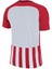 Nıke M Nk Strp Dvsn Iıı Jsy Ss Erkek Futbol Forması 894081-658 Kırmızı 2