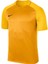 Nıke M Dry Trophy Iıı Jsy Ss Erkek Futbol Tişörtü 881483-739 Sarı 1