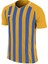 Nıke M Nk Strp Dvsn Iıı Jsy Ss Erkek Futbol Forması 894081-740 Sarı 1