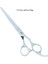 A0128G-03-70 Stili 7.0" Büyük Saç Ya Da Japarofessional Kuaförlük Kesme Ya Da Salon Kuaför Tg Tijeras Saç Kesme Makineleri A0128G (Yurt Dışından) 1