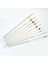Pipet / Dereceli / 5 'ml 2