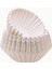 Basket Filtre Kahve Kağıdı Natural Beyaz 250/90 (250 Adet) 1