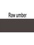 Amsterdam Akrilik Boya 120ml. N:408 Raw Umber 2