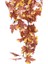 Yapay Alacalı Çınar Sarkıt 85 cm 2