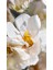 Yapay Anemon Çiçeği Pudra 78 cm 5