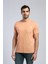 Vincent Erkek O Yaka T-Shirt Somon 2