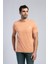 Vincent Erkek O Yaka T-Shirt Somon 3