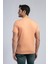 Vincent Erkek O Yaka T-Shirt Somon 4