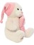 Pufu Yastıklı Peluş Uykucu Ayıcık 45 Cm. 2