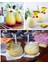 - 6 Adet Soğuk Kahve Bardağı ve Meşrubat Bardağı , mlikshake Bardağı , Limonata Bardağı 1