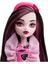 Monster High Ana Karakter Bebekler Draculawra HKY74 2