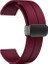 Honor Watch 4 Pro - Gs Pro - Gs 3 - Gs 4 Uyumlu Magnet Mıknatıslı Silikon Kordon 22MM 1