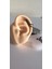 %100 316 L Cerrahi Çelik Siyah Çift Zincirli Helix Piercing-1 Adet 4