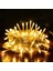 Dekoratif Animasyonlu 100 Ledli 10 Metre Gün Işığı 2