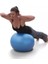 65 cm Pilates Topu Yoga Plates Egzersiz Topu Ball + Şişirme Pompası Hediyeli 2