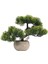 Bonsai Ağı Doğum Günü Hediyesi Sahte Bonsai Ağı Yeşil (Yurt Dışından) 1