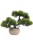 Bonsai Ağı Doğum Günü Hediyesi Sahte Bonsai Ağı Yeşil (Yurt Dışından) 2