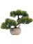 Bonsai Ağı Doğum Günü Hediyesi Sahte Bonsai Ağı Yeşil (Yurt Dışından) 3