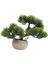Bonsai Ağı Doğum Günü Hediyesi Sahte Bonsai Ağı Yeşil (Yurt Dışından) 4