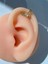 Piercing Taşlı Tragus Helix Lobe Kıkırdak Yarasa Çelik 1