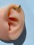 Piercing Taşlı Tragus Helix Lobe Kıkırdak Yarasa Çelik 4